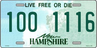 NH license plate 1001116