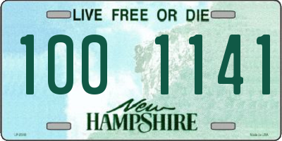 NH license plate 1001141