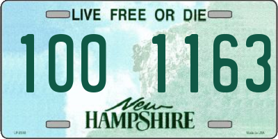 NH license plate 1001163