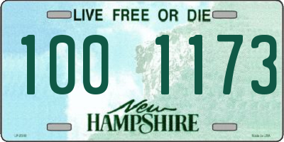 NH license plate 1001173