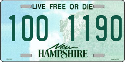 NH license plate 1001190