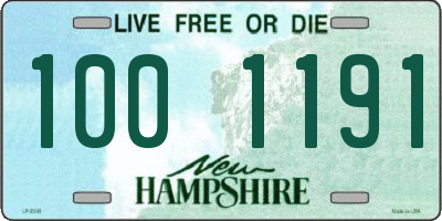 NH license plate 1001191