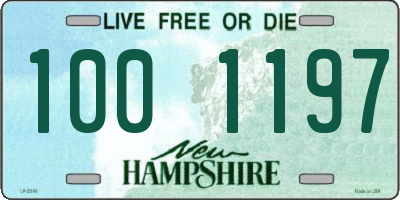 NH license plate 1001197