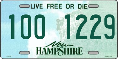 NH license plate 1001229