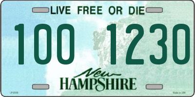 NH license plate 1001230