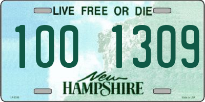 NH license plate 1001309