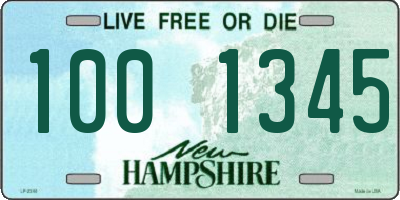 NH license plate 1001345