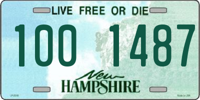 NH license plate 1001487