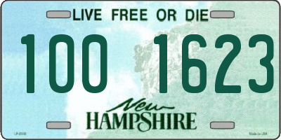 NH license plate 1001623