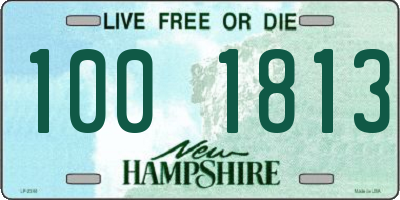 NH license plate 1001813