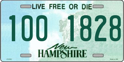 NH license plate 1001828