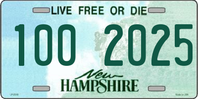 NH license plate 1002025