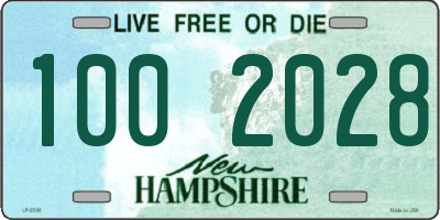 NH license plate 1002028