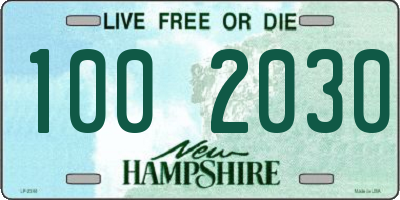 NH license plate 1002030