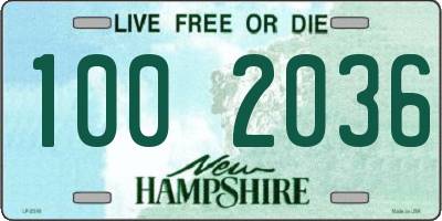 NH license plate 1002036
