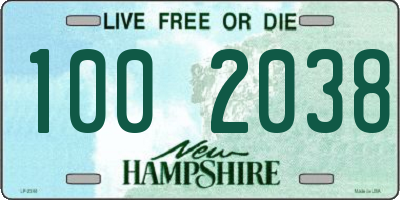 NH license plate 1002038