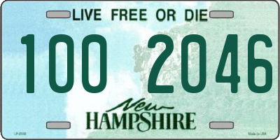 NH license plate 1002046