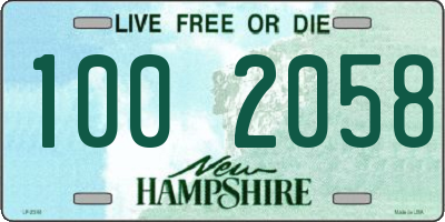 NH license plate 1002058