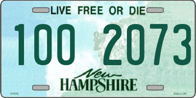 NH license plate 1002073