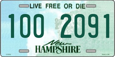 NH license plate 1002091