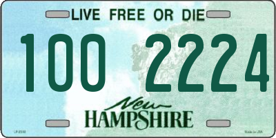 NH license plate 1002224