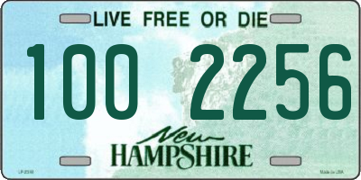 NH license plate 1002256