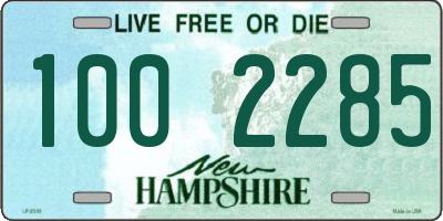 NH license plate 1002285