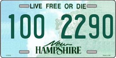 NH license plate 1002290