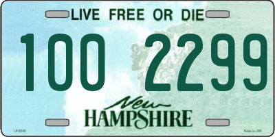 NH license plate 1002299