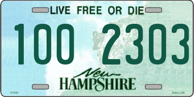 NH license plate 1002303