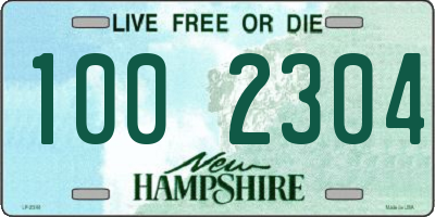 NH license plate 1002304