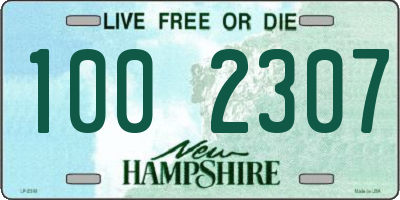 NH license plate 1002307