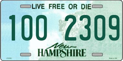 NH license plate 1002309