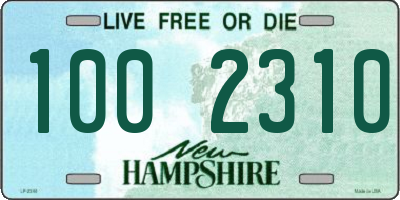 NH license plate 1002310