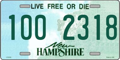 NH license plate 1002318