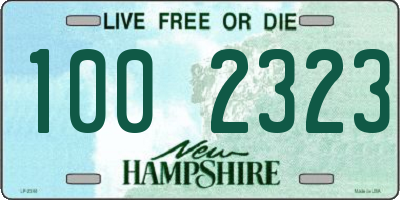 NH license plate 1002323