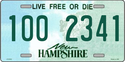 NH license plate 1002341