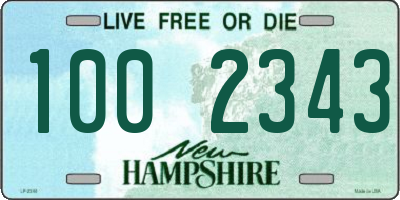 NH license plate 1002343