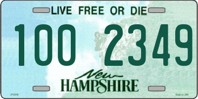 NH license plate 1002349