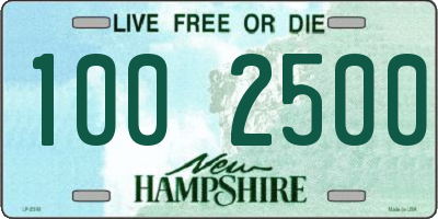 NH license plate 1002500