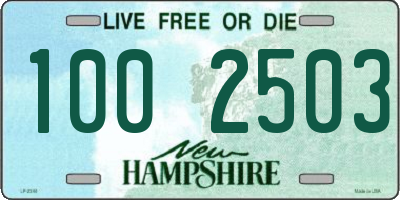 NH license plate 1002503