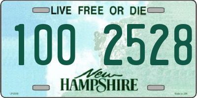 NH license plate 1002528