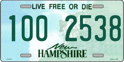 NH license plate 1002538