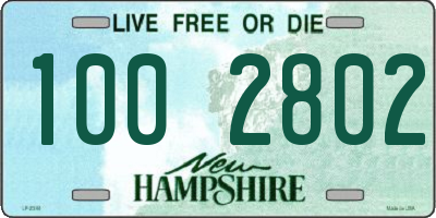 NH license plate 1002802