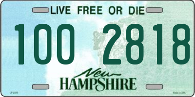 NH license plate 1002818