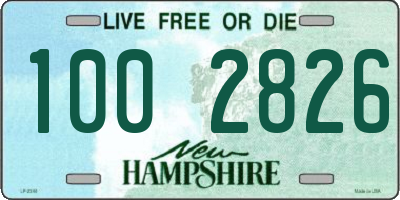 NH license plate 1002826