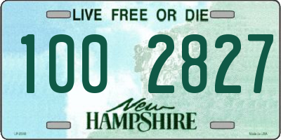 NH license plate 1002827