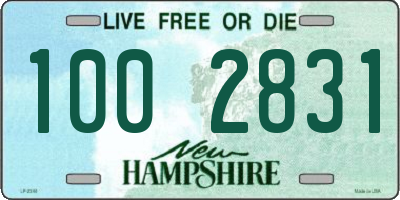 NH license plate 1002831