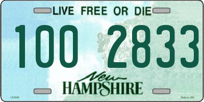 NH license plate 1002833