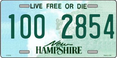 NH license plate 1002854